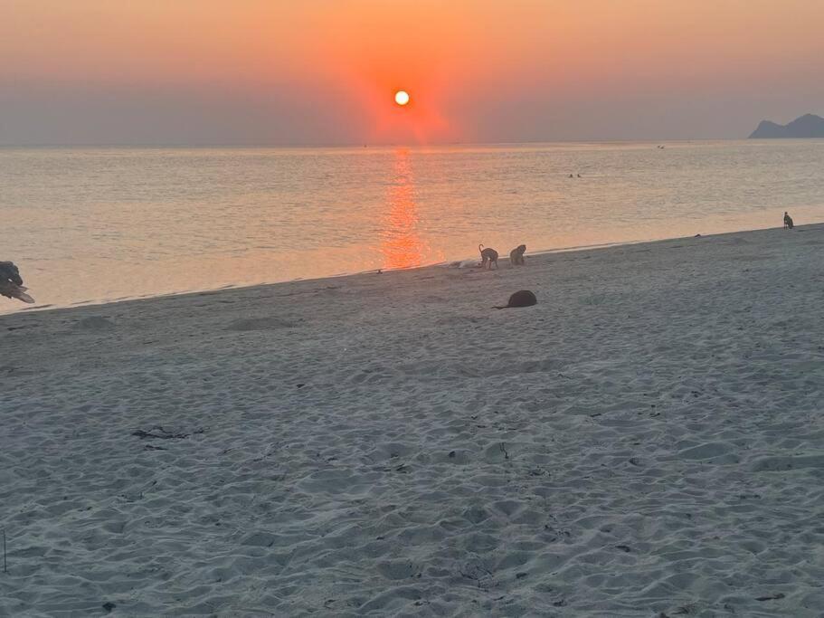 Sunset Serenity Cove เกาะพะงัน ภายนอก รูปภาพ